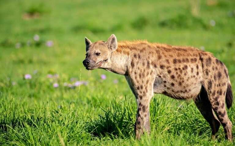 TTP23Murchison-177Nile Abenteuer