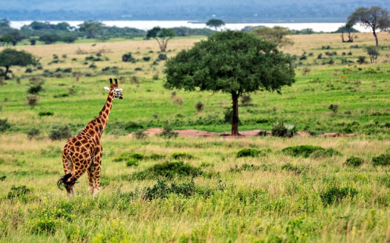 TTP23Murchison-295Nile Abenteuer