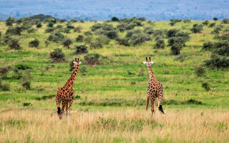 TTP23Murchison-304Nile Abenteuer