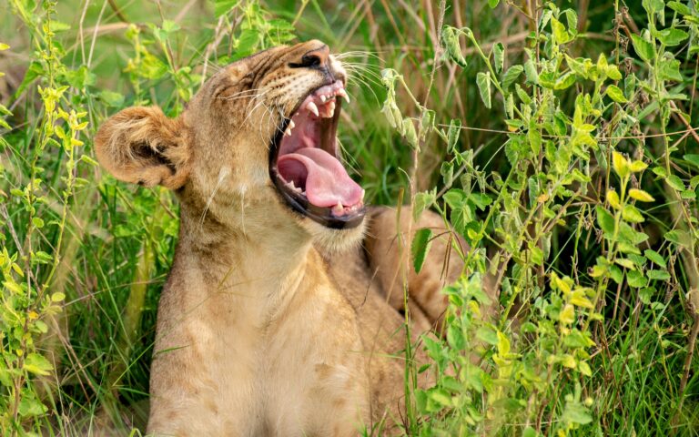 TTP23Murchison-44Nile Abenteuer